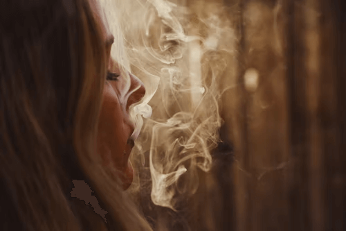 Vaporpedia: la guía definitiva sobre vaporizadores, información 420 y más. Descubre un nuevo mundo de placer sin humo.-¿Cuánto Tiempo Permanece el Cannabis en tu Sistema?-Vapeblunt México